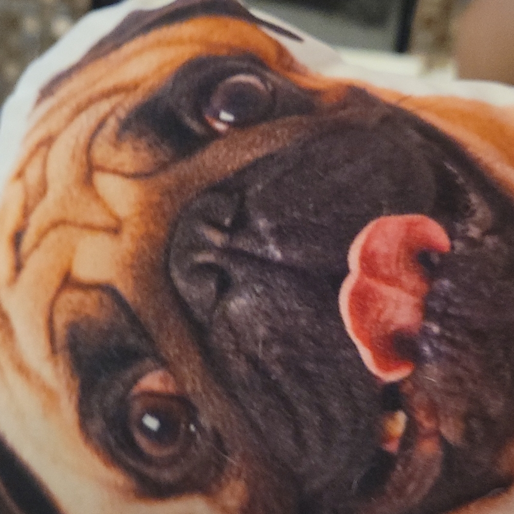 Pillow